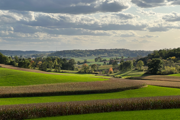 The Garden Is Growing