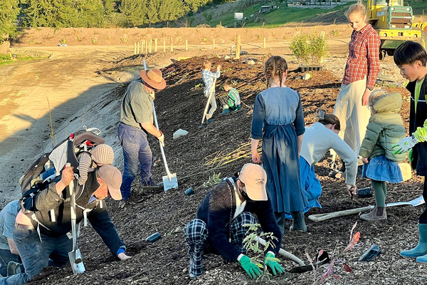 Restoration and Rebirth Down Under