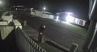 Egging Teens Now Dump Tuna in Mermaid Beach