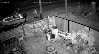Locals Disgusted After Bizarre Late-Night Teen Vandalism in Nerang