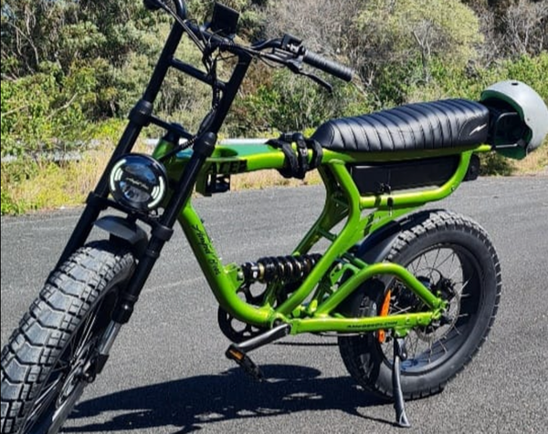 E-Bike Stolen: Currumbin Family Left Stranded