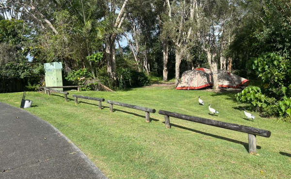 Concerns Raised Over Homeless Camps in Coombabah