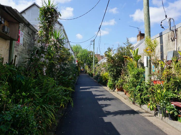 McElhone Place, Surry Hills - Larissa Shearman, Timeout