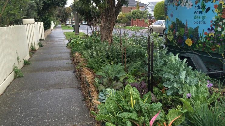 Karen Sutherland’s edible verge - The Age