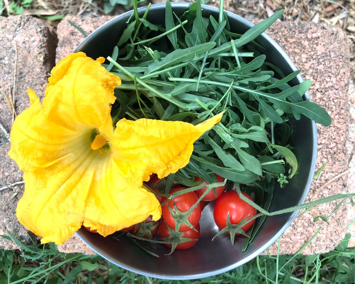 A vibrant harvest in a bowl - Isabella Pignatti-Morano