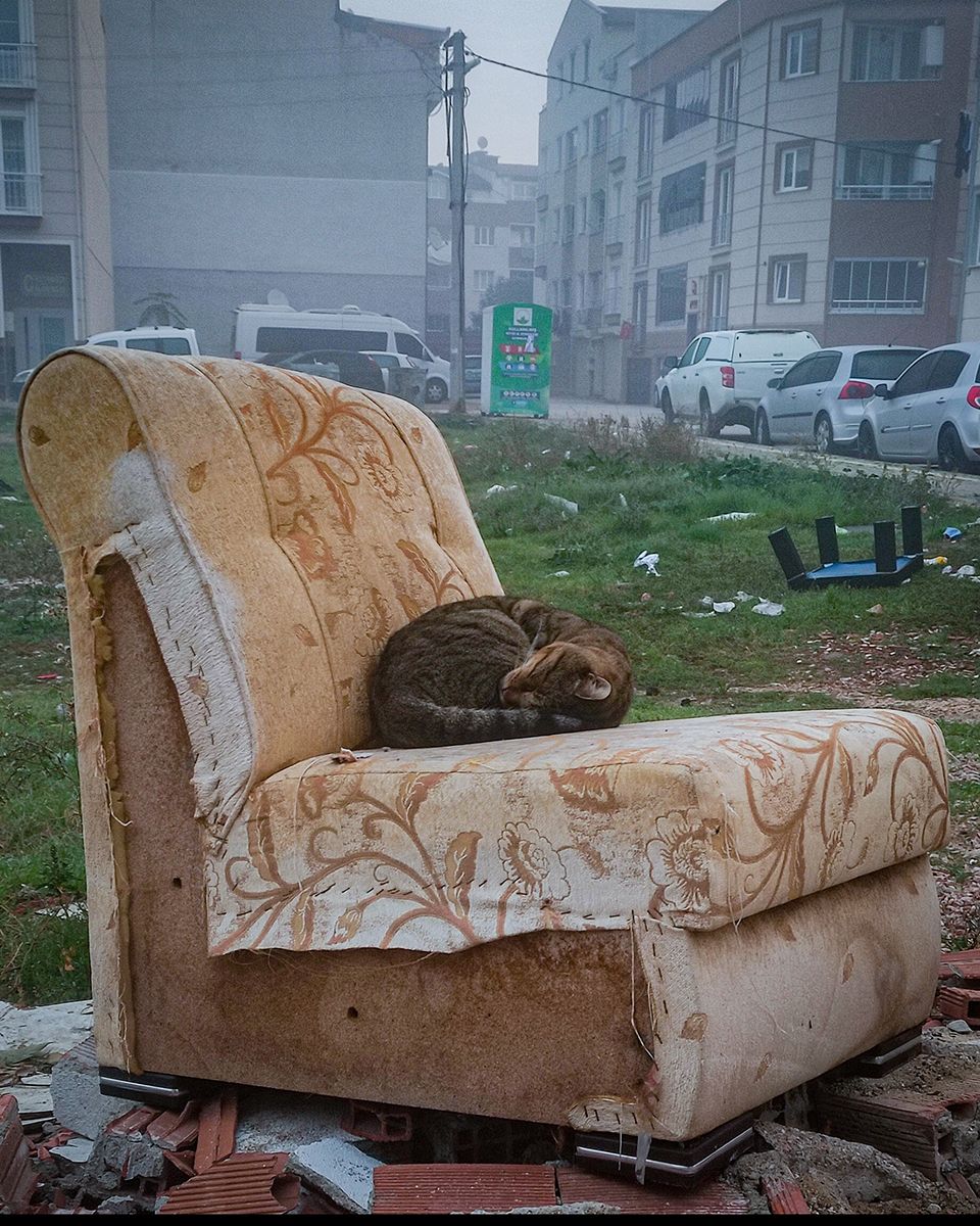 Council collections days are a great way to get rid of or acquire large items - Barış Erdoğan