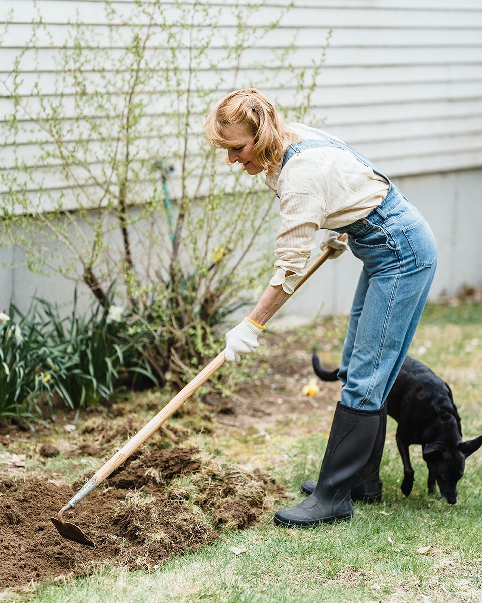Pet poo is potent fertiliser and can be carefully integrated into your garden - Greta Hoffman