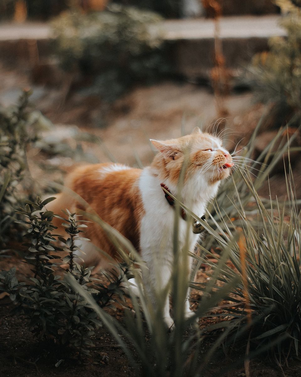 Pesticides don't just kill "pests". They're poisonous to everyone. - Asep Saeful Bahri