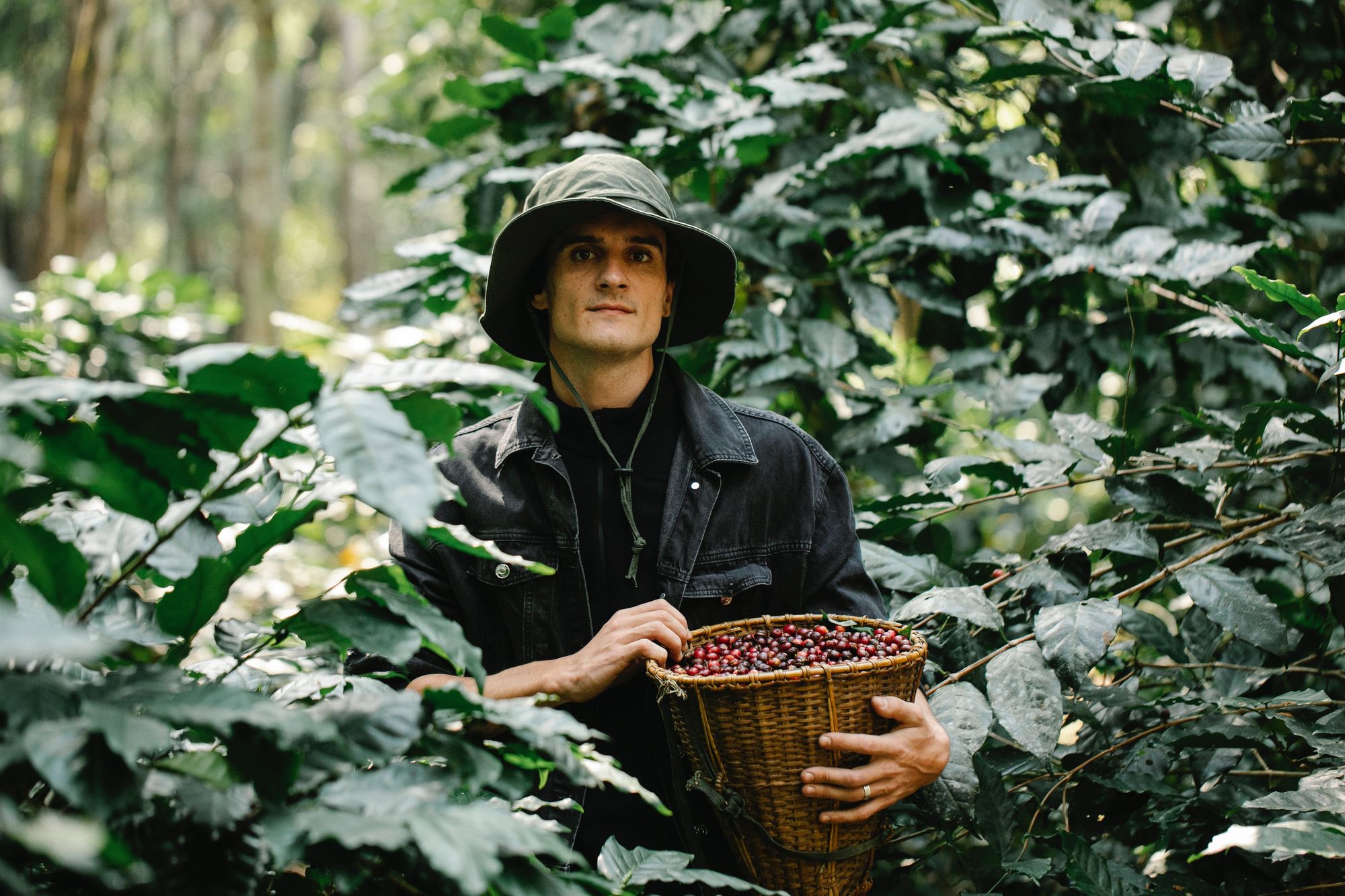 Food forests allow us to forage in our own backyards - Michael Burrows