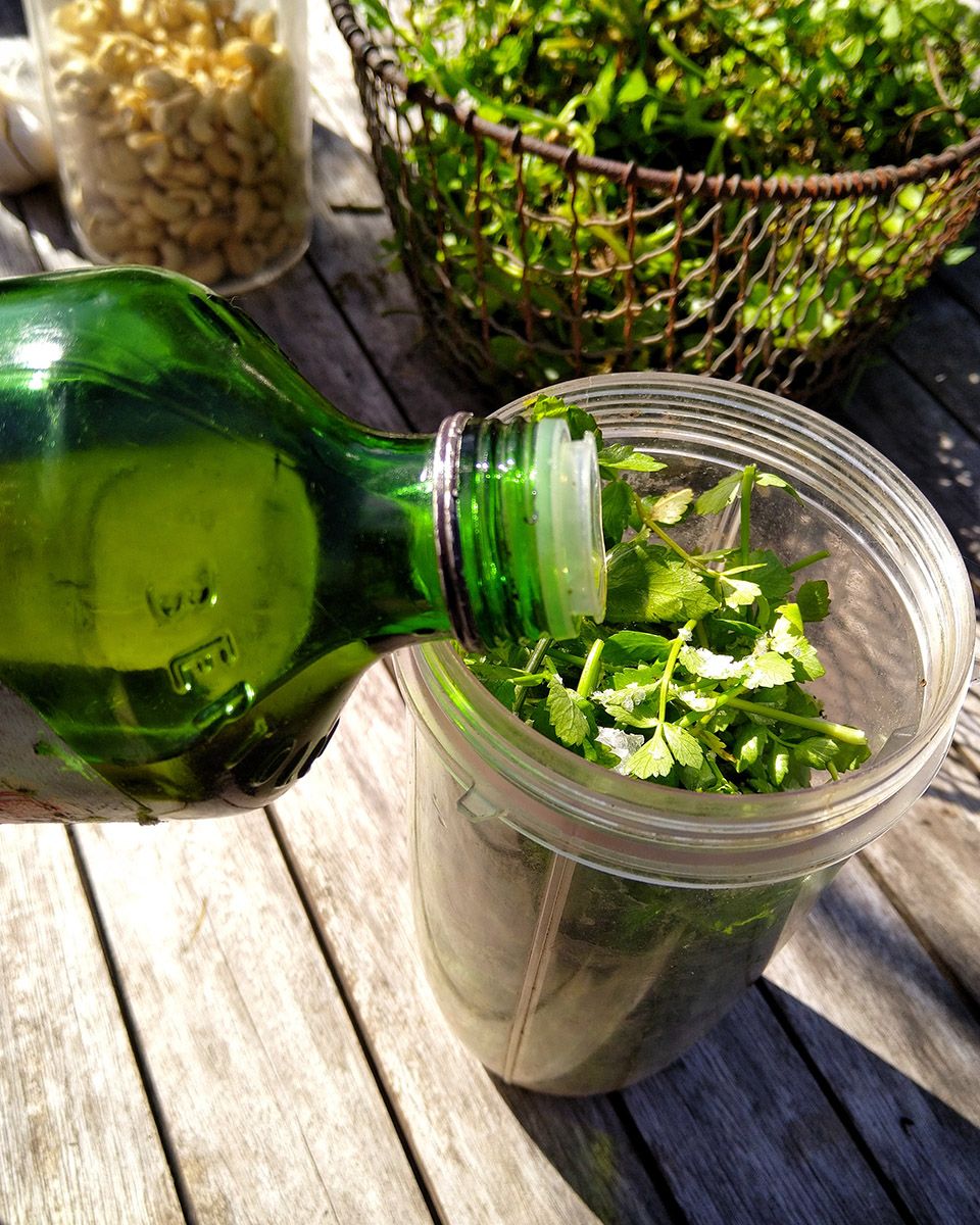 Combine ingredients in blender, or in my case Nutribullet - Victoria Waghorn