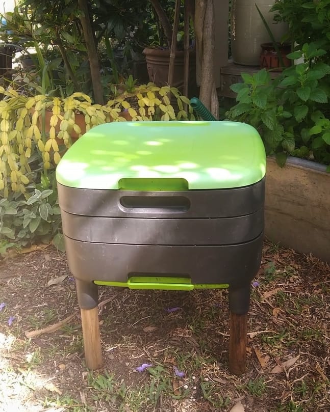 Keep your farm undercover in the shade. Under a tree works well! - Img: Victoria Waghorn