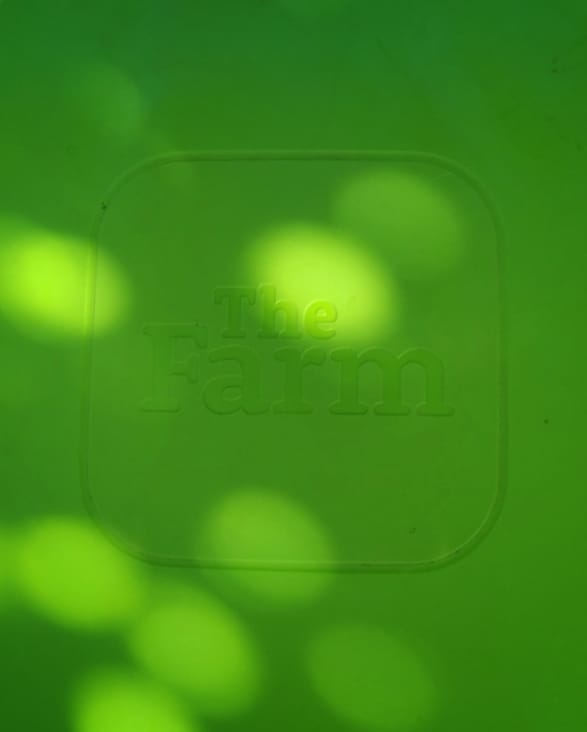 'Our award winning worm farm! For worm farmers of all ages/levels. - Img: Victoria Waghorn