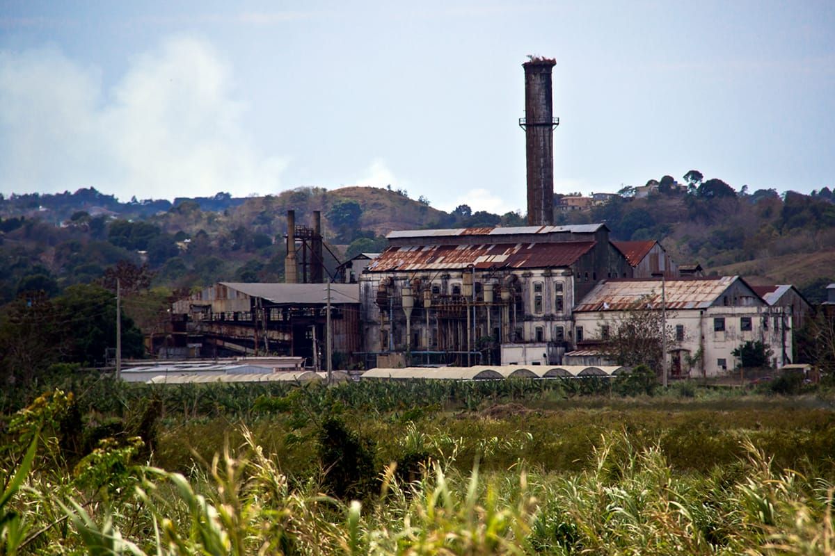 La Última Zafra: Paisajes de poder y memoria