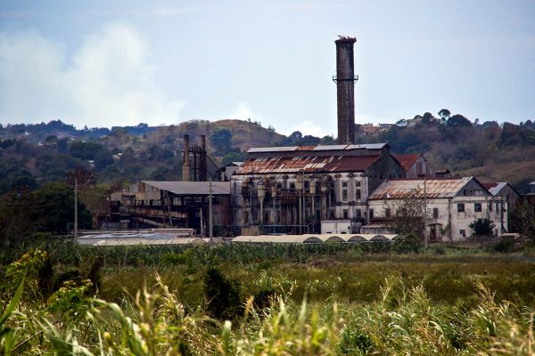 La Última Zafra: Paisajes de poder y memoria
