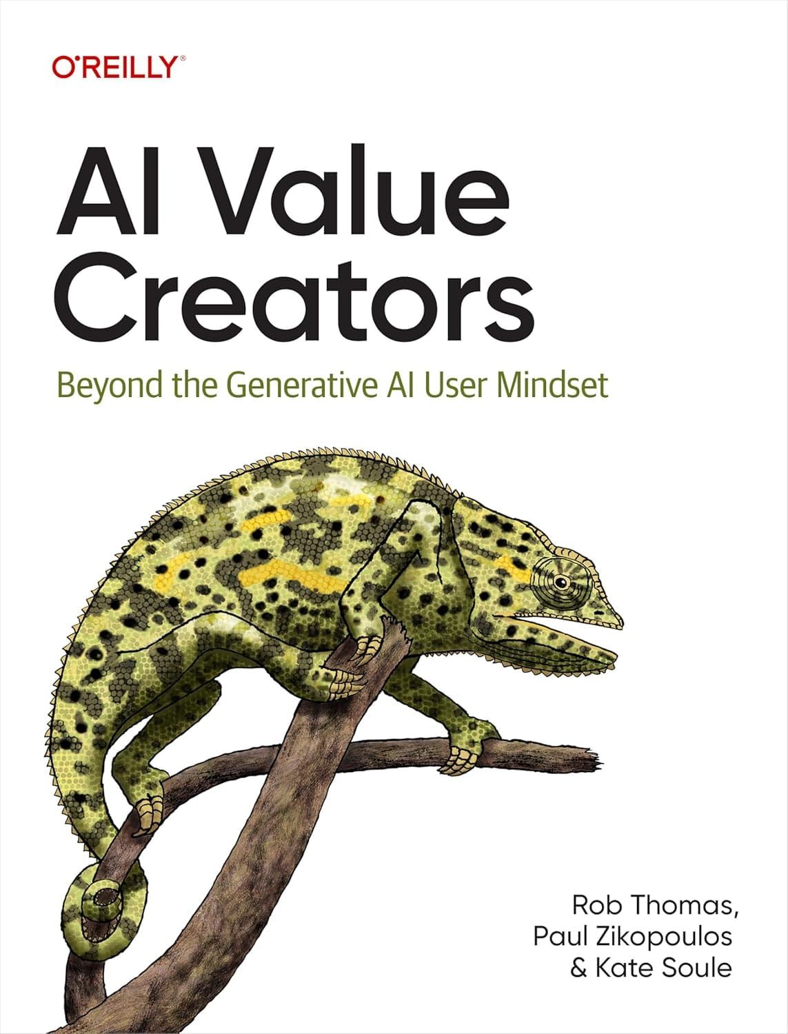 AI Value Creators Beyond the Generative AI User Mindset 1st Edition By Dario Gil