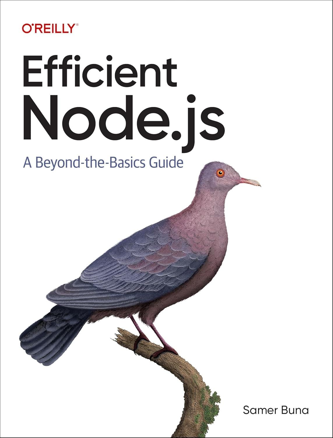 Efficient Node.js A Beyond-the-Basics Guide 1st Edition By Samer Buna