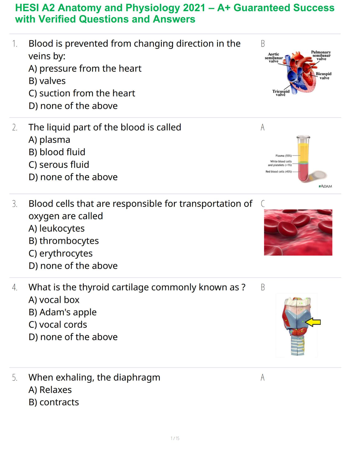 HESI A2 Anatomy and Physiology 2021 – A+ Guaranteed Success with Verified Questions and Answers