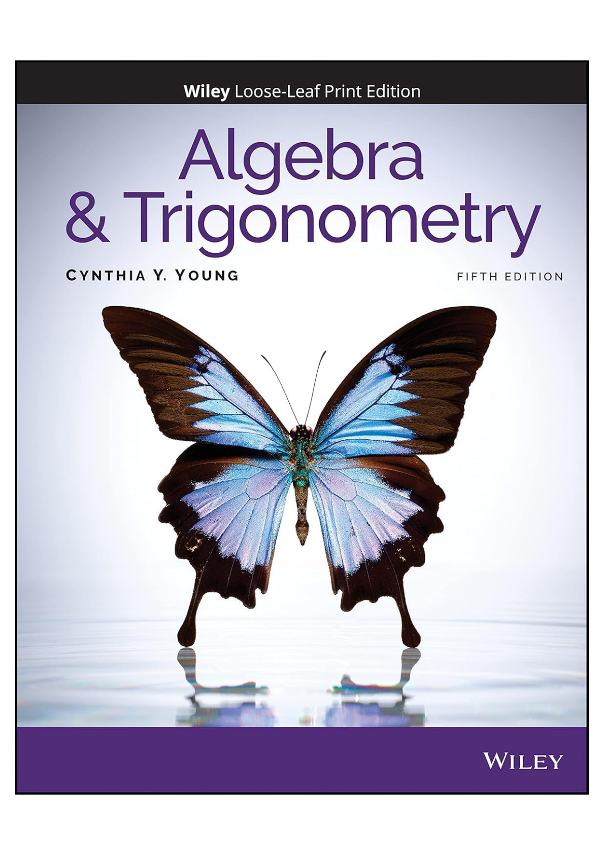 Solution manual For College Algebra and Trigonometry 5e Young