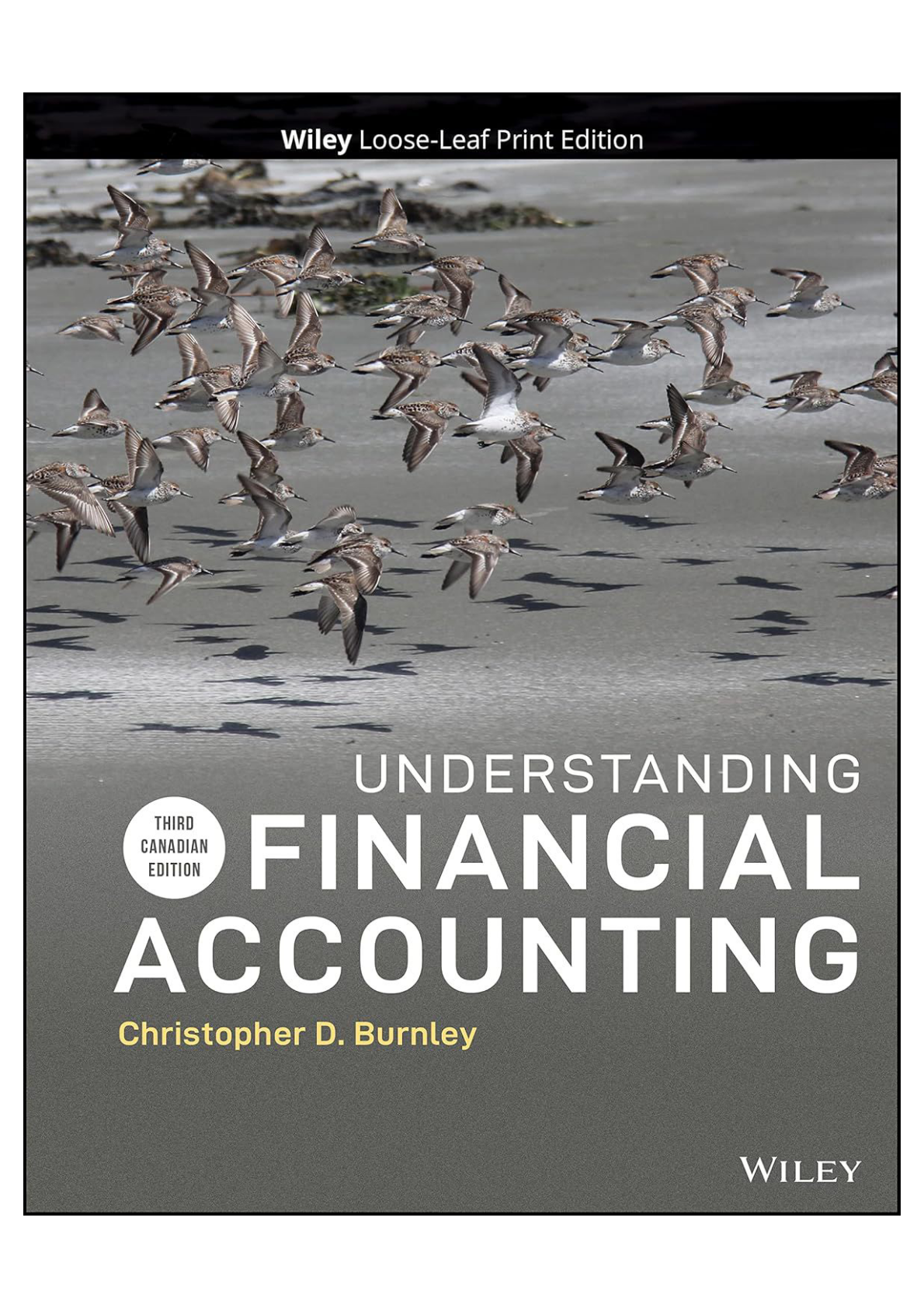 Solution manual for Understanding Financial Accounting, 3e Canadian Burnley