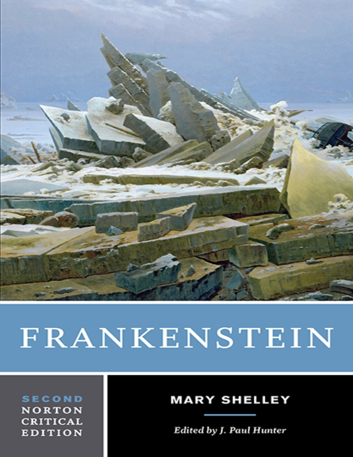 Frankenstein Contexts Criticism 2nd Edition By Mary Shelley