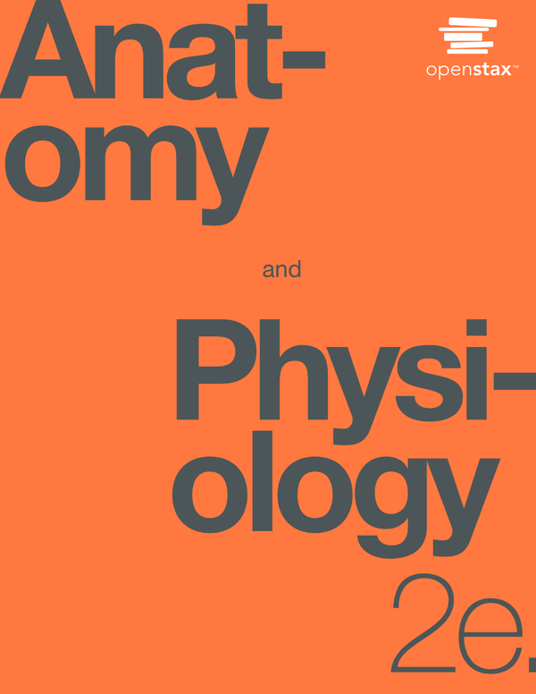 Anatomy and Physiology 2nd Edition By OpenStax, Gordon Betts et al.