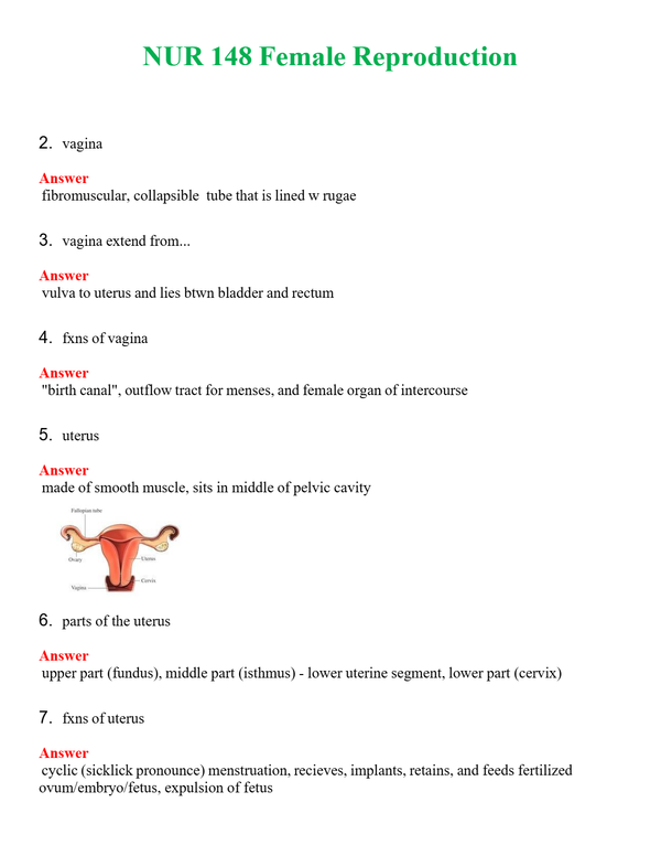 NUR 148 FEMALE REPRODUCTION | GRADED A+ QUESTIONS AND ANSWERS (SOLVED)