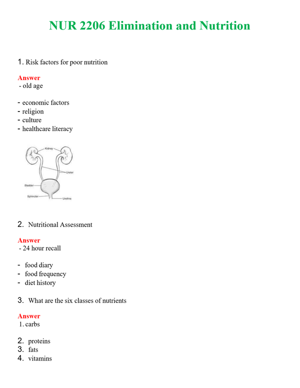 NUR 2206 ELIMINATION AND NUTRITION | (ACTUAL EXAM ) QUESTIONS AND ANSWERS (SOLVED)