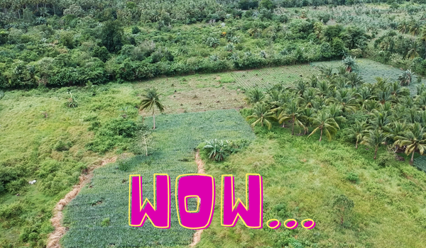 Rare Investment Opportunity With Fast Growth Potential