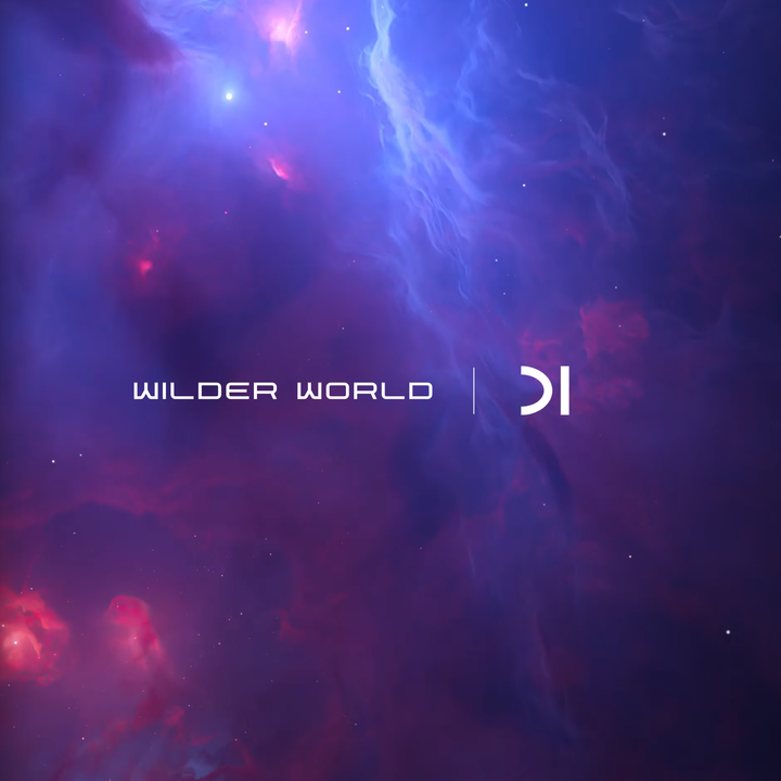 Welcome to Wilder World: D1 Ventures