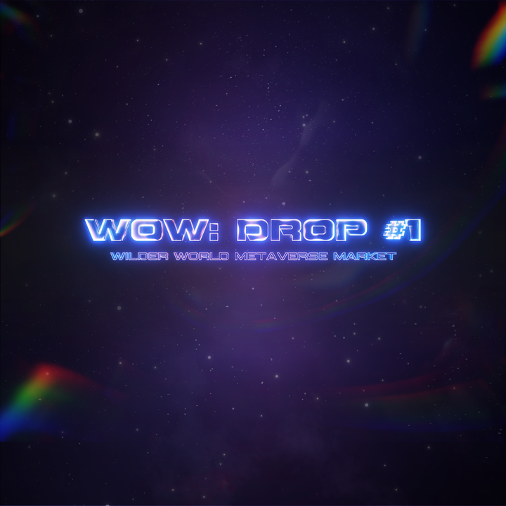 Wilder World Metaverse Market NFT WOW Drop #1