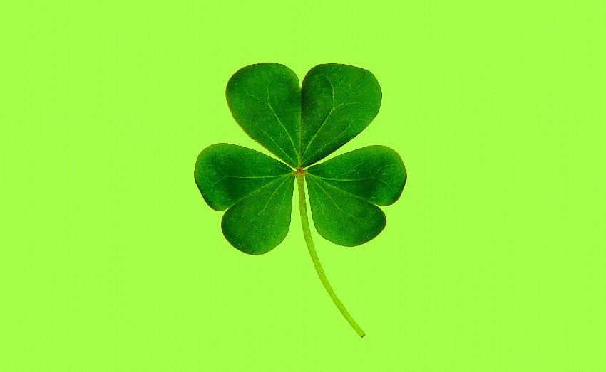 Conosci la "Corazza di San Patrizio"?