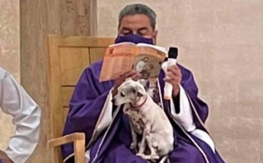 Cagnolina del Prete irrompe in Chiesa perché si sente Sola