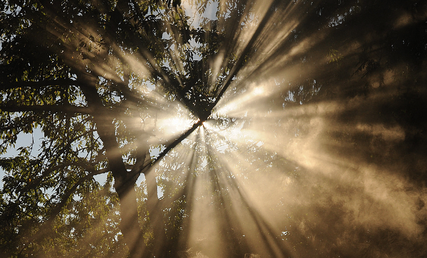 La Preghiera per Liberare 1000 Anime dal Purgatorio