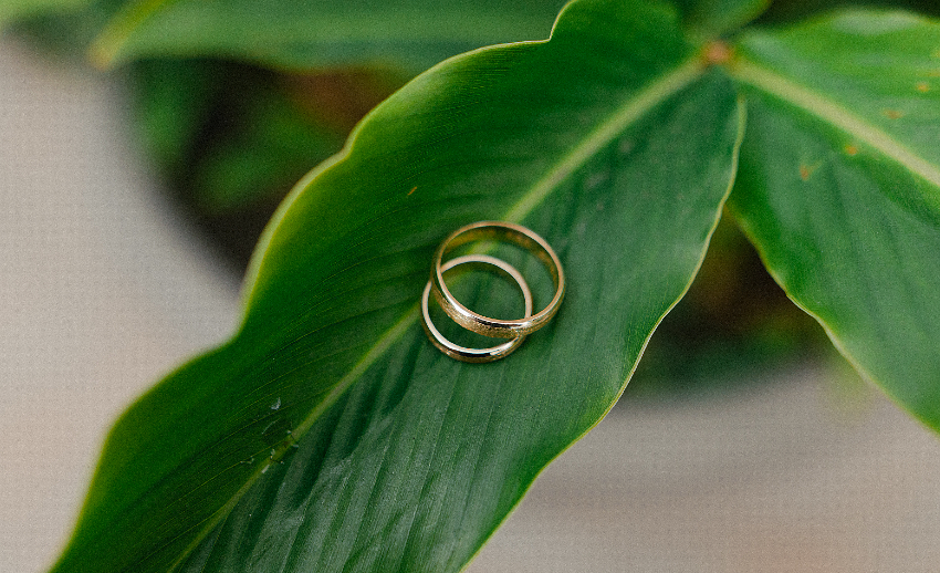 La Lettera agli Sposi di Papa Francesco