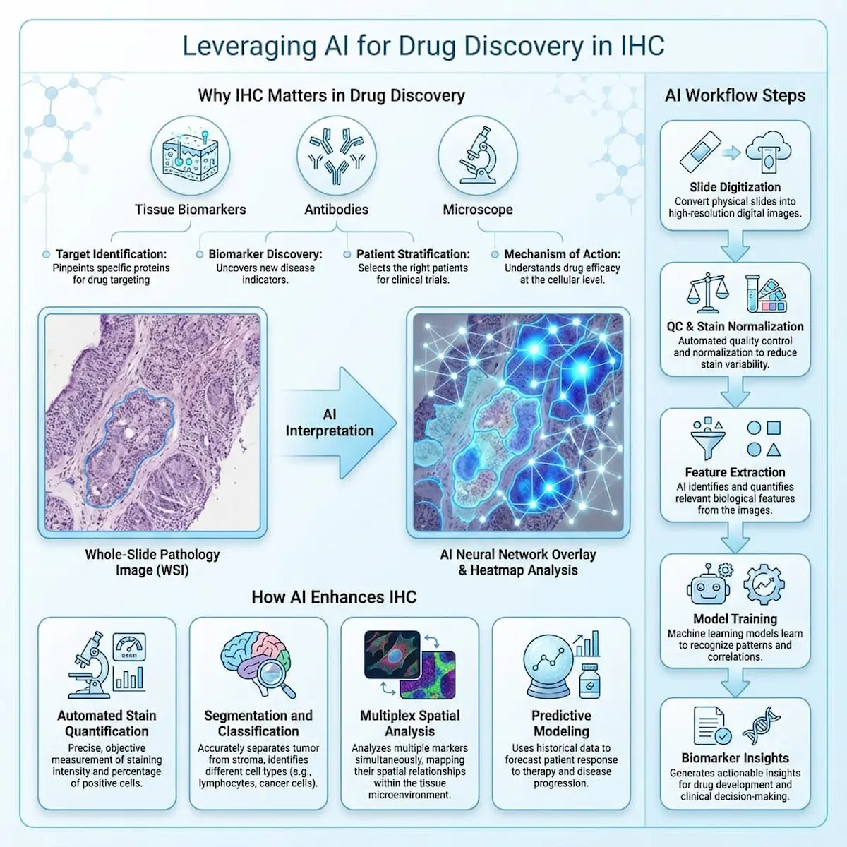Infographic on AI in IHC for drug discovery, covering biomarker roles, whole-slide image analysis, neural network overlays, and AI workflow steps. 