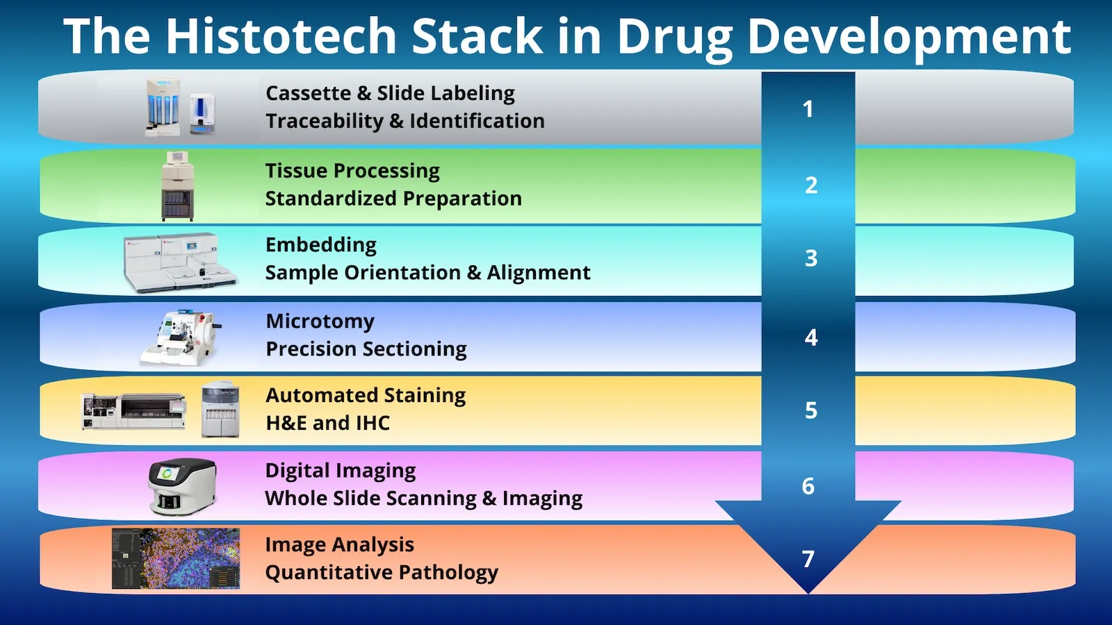  Infographic of the seven-layer Histotech Stack in drug development: labeling, processing, embedding, microtomy, staining, imaging, analysis.