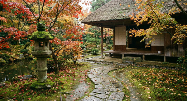 The Complete Wabi-Sabi Guide: 21 Daily Practices for a More Beautiful, Imperfect Life