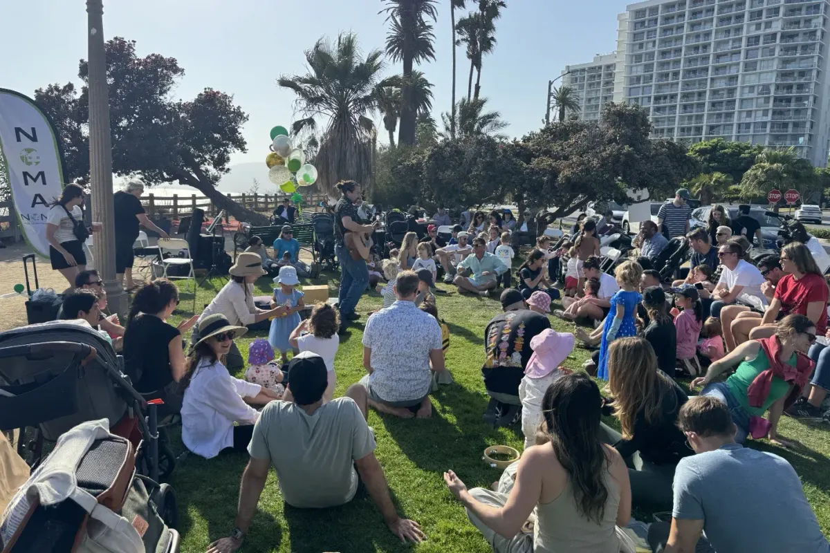 people watching music in park