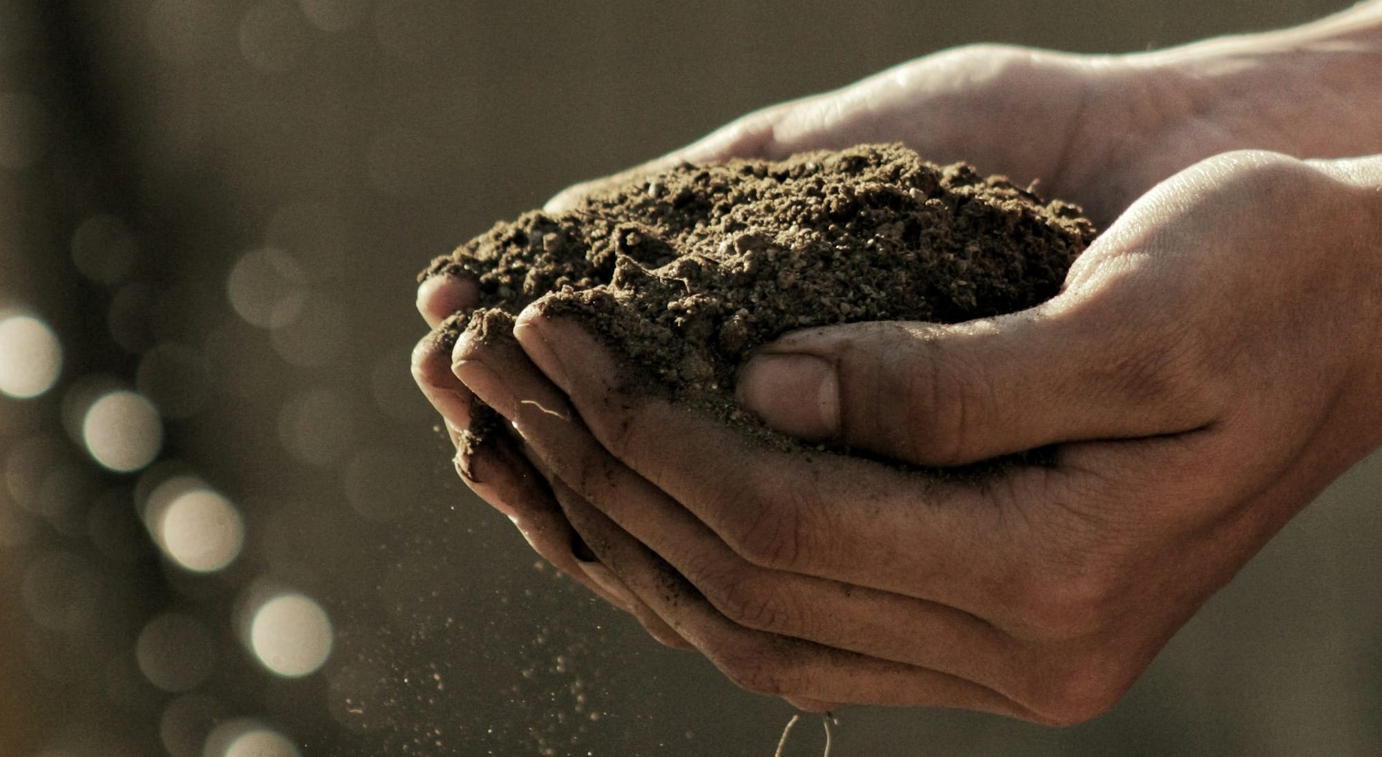 bokeh photography of person carrying soil