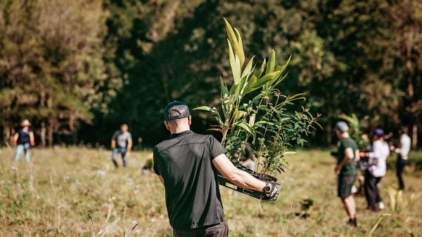 Tourism and business unite for sustainability on the Coast