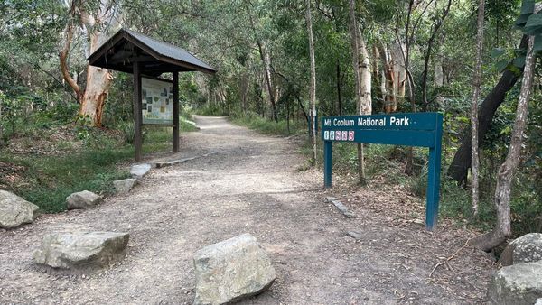 Relief for climbers, new facilities underway at Mount Coolum