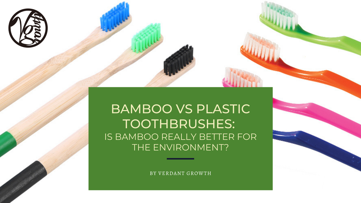 Bamboo vs Plastic Toothbrushes:  Are Bamboo Toothbrushes REALLY Environmentally-friendly?
