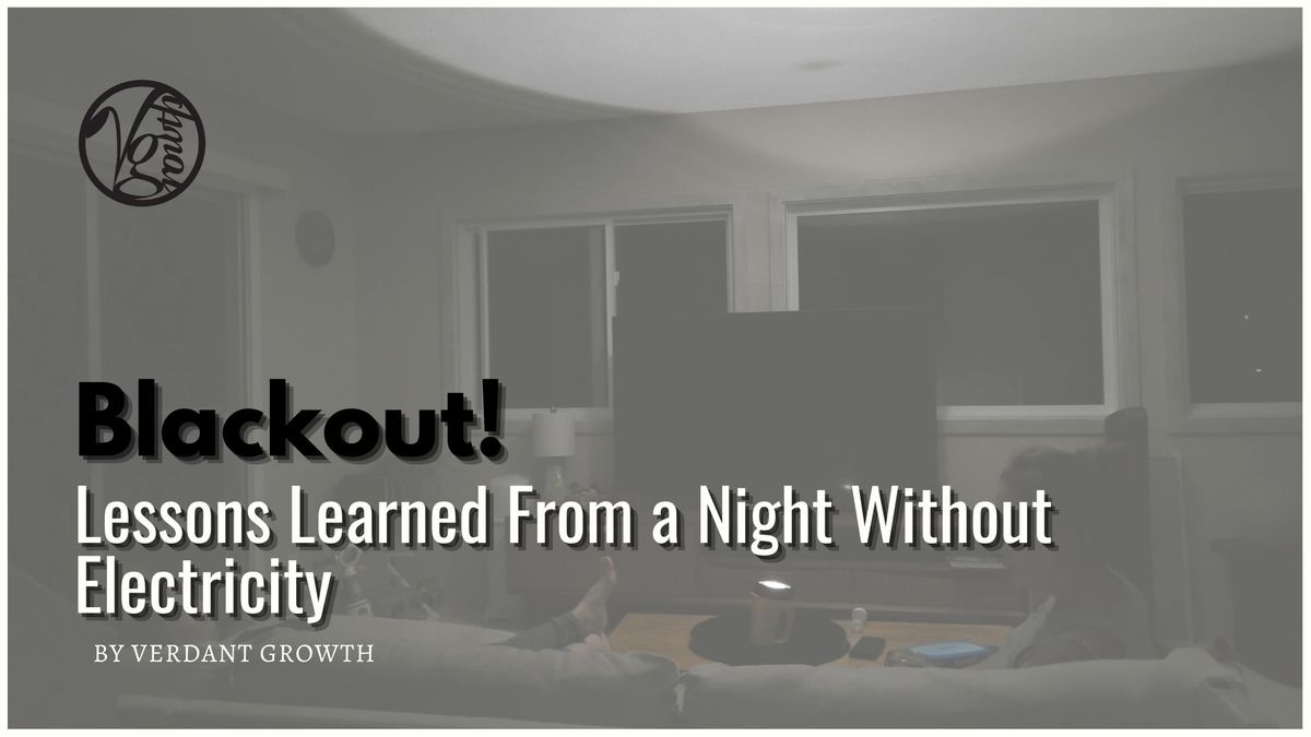 Blackout! Lessons Learned From a Night Without Electricity