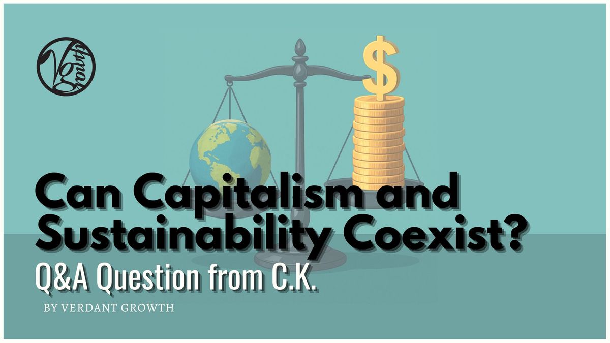 Q&A: Can Capitalism and Sustainability Coexist?