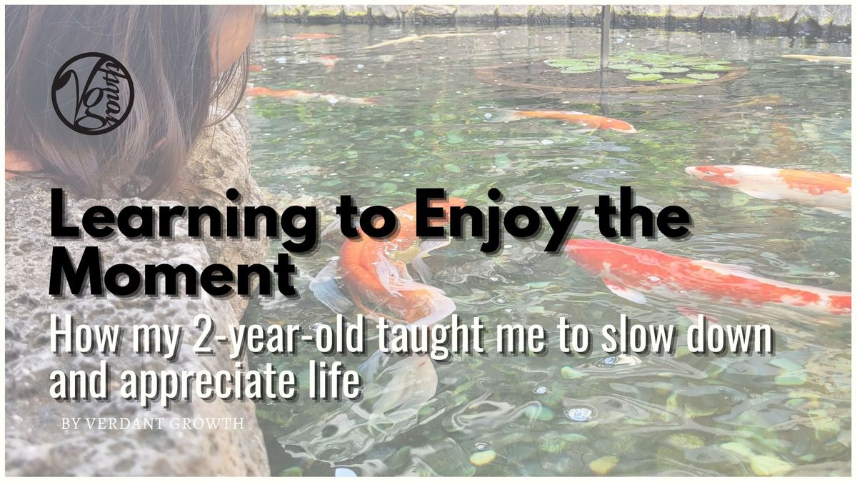Learning to Enjoy the Moment - How my 2-year old son taught me to slow down and appreciate life