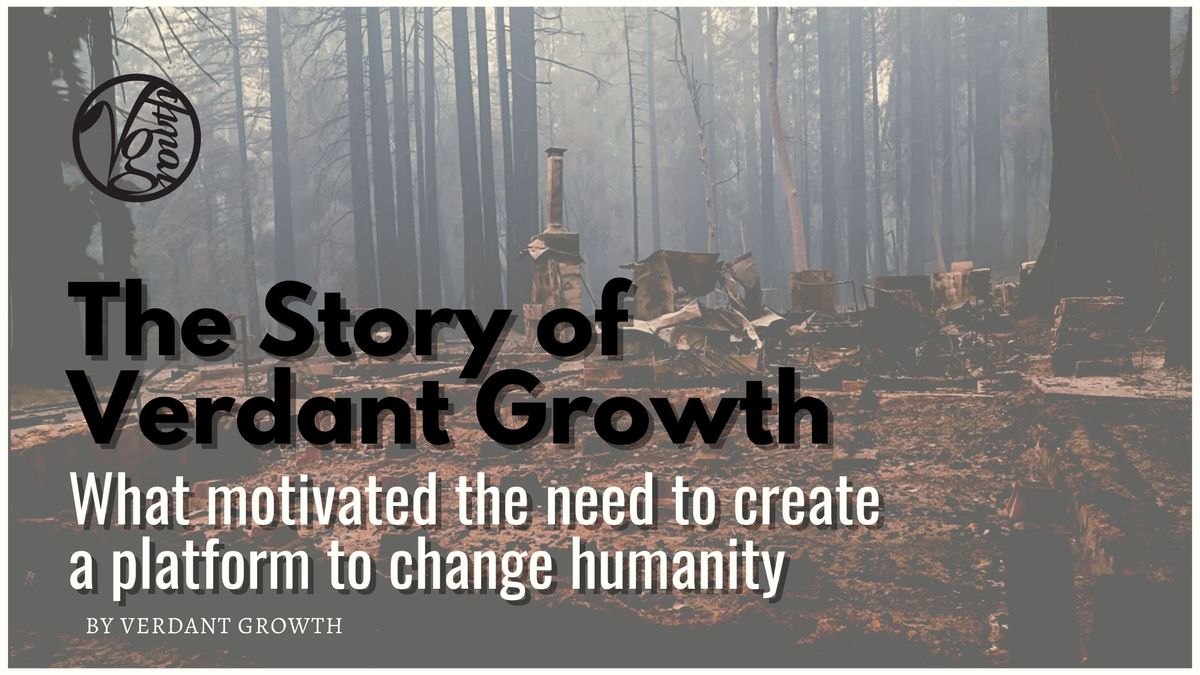 The Story of Verdant Growth