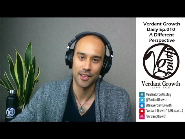 The VG Daily: 010 - A Different Perspective