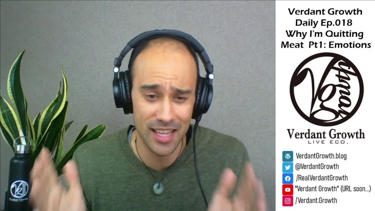 The VG Daily: 018 - Why I'm Quitting Meat Part 1: Feelings and Emotions