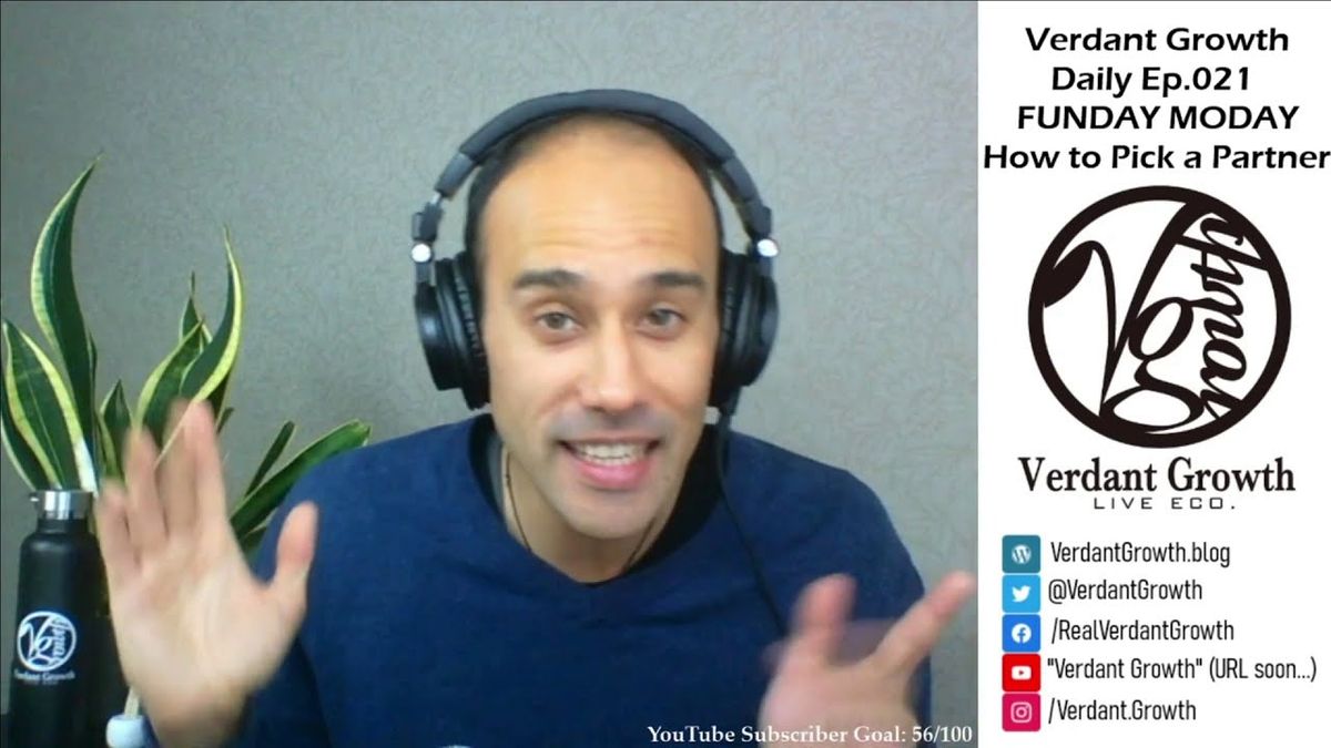 The VG Daily: 021 - Funday Monday: Picking A Partner!