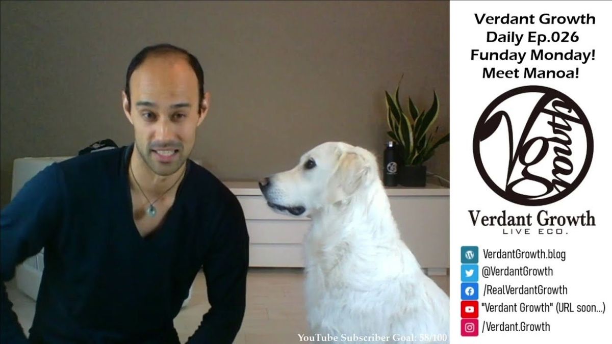 The VG Daily: 026 - Funday Monday! Meet Manoa